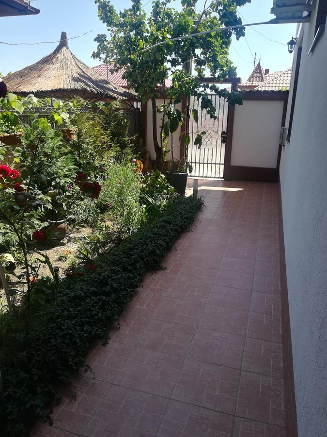 מלון סולינה Casa Diana מראה חיצוני תמונה